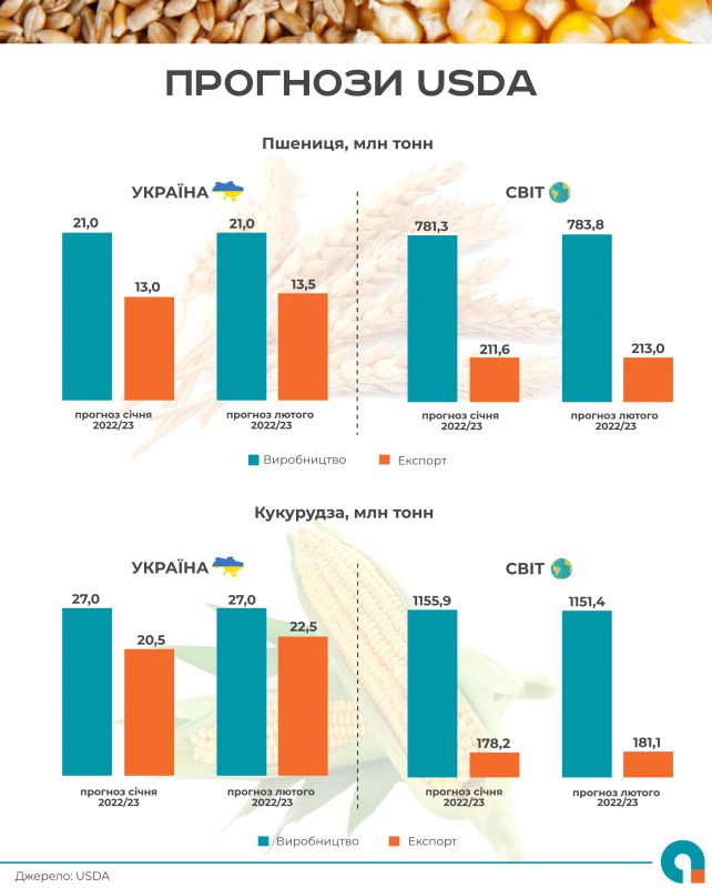 США збільшили прогноз експорту української пшениці та кукурудзи 01