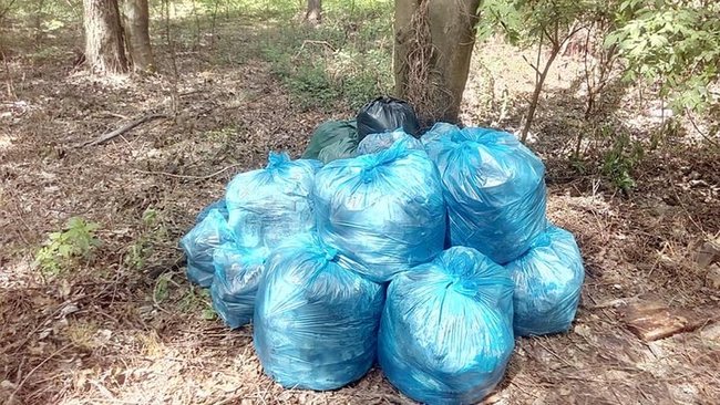 Экоактивист из Киева за время карантина очистил лес от 2,5 тонн мусора 01